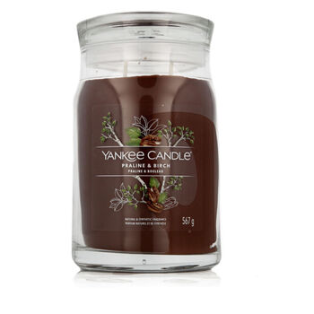 Praline & Birch Signature Candle (pralinka a breza) - Vonná sviečka
